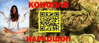 твердый Бердск