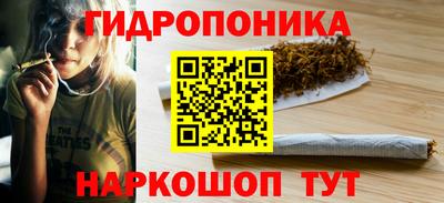 твердый Бердск
