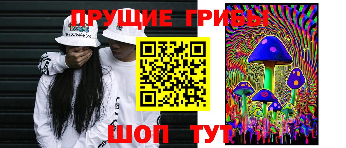 Псилоцибиновые грибы Cubensis Октябрьский